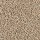 Mohawk Carpet: Vitalize I Flannel